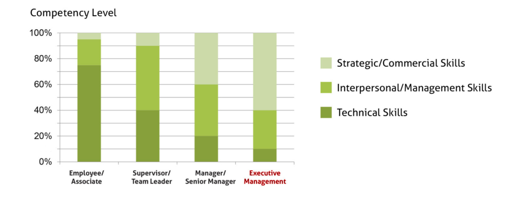 Executive Competencies